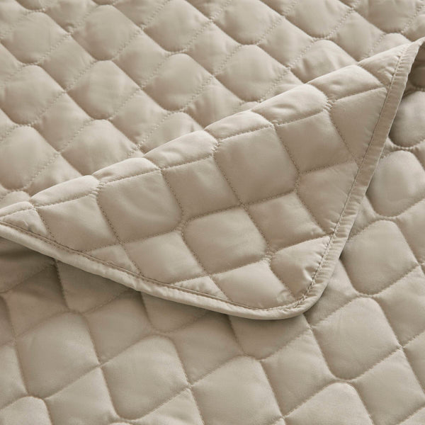 English Elm 10-piece California King Velvet Jacquard Comforter Set Layered Bedding with Microfiber Shams Champagne B035P482942