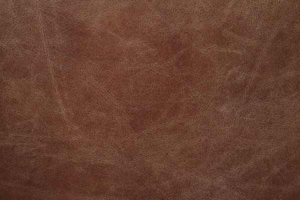 English Elm Calan High Back Top Grain Leather Executive Chair with Swivel Base for Home Office B2726P419518