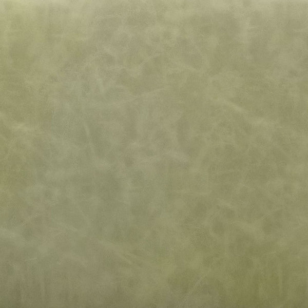 Charon Dining Chair Set of 2 - Stylish Green Vinyl Comfort with Steel Frame for Modern Dining Spaces