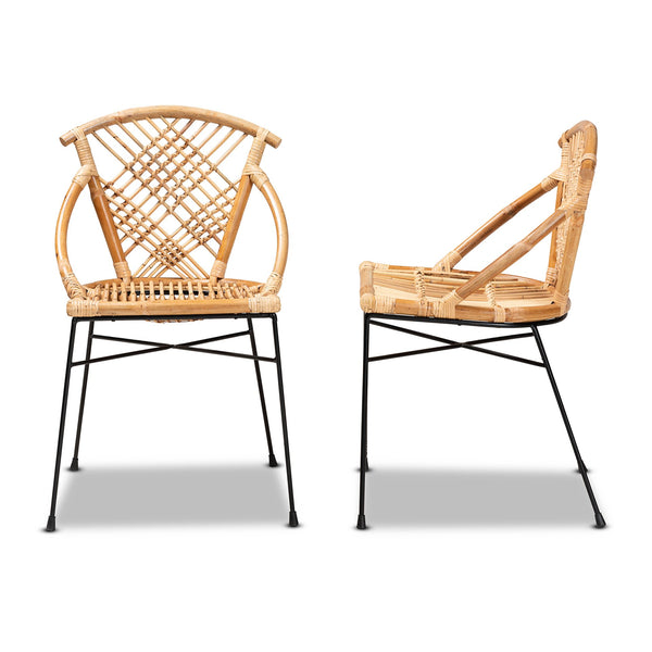 English Elm Modern Rattan Dining Chair Set of Two with Woven Back and Black Iron Base B2750P420347