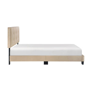 English Elm 1pc Full Platform Bed Newberry Brown Velvet Upholstered Button-Tufted Adjustable Headboard, Solid Wood Frame Light Brown 60 L x 26 W x 5 H B011P203574