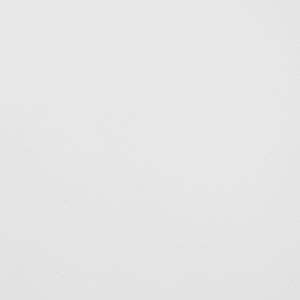 Modern Wood Queen Spindle Bed White BQSPINWH Walker Edison