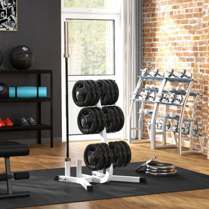 English Elm Soozier Olympic Weight Tree with Six Plate Posts Three Bar Holders Steel Frame Gym White W2225P217796