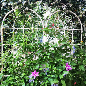 English Elm 4 Pack Galvanized Steel Garden Trellis Panels Powder Coated Cream White Climbing Plant Support W1586P147434