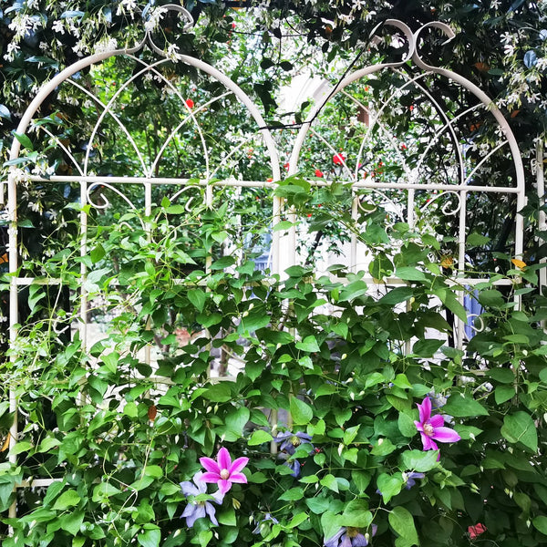 English Elm 4 Pack Galvanized Steel Garden Trellis Panels Powder Coated Cream White Climbing Plant Support W1586P147434