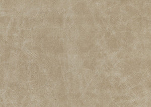 English Elm Sand-Hued Polished Microfiber Chair — Modern Sand Upholstery, Silver Metal Legs, Elegant Living Room Seat B011P204087