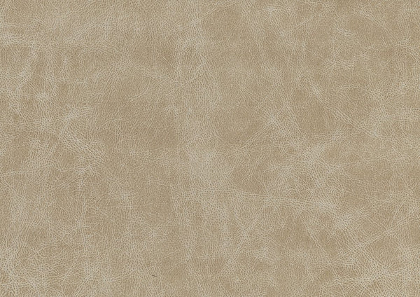 English Elm Sand-Hued Polished Microfiber Chair — Modern Sand Upholstery, Silver Metal Legs, Elegant Living Room Seat B011P204087