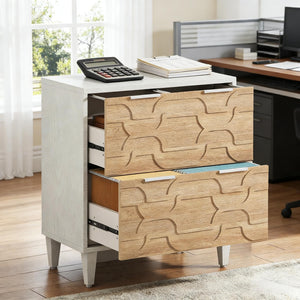 English Elm 2-drawer File Cabinet with Reinforced Top White Grey Modern Home Office Storage T3971P451351