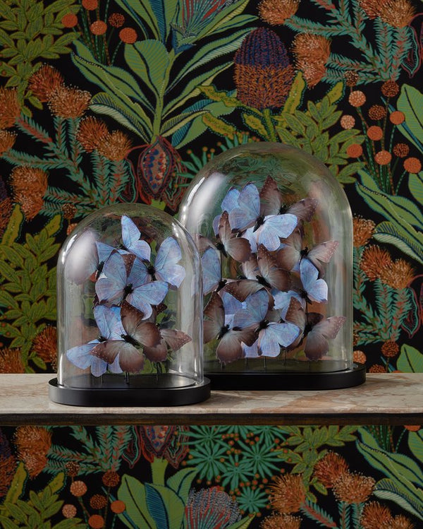 Currey & Company Rue De Bac Enchanting Medium Butterflies In Soft Blue & Pink - Elegantly Displayed Glass Dome Decor Blue Paper ,Engineered Wood ,Glass 1200-0977-currey-company