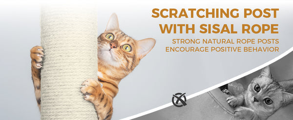 English Elm 71 Inch Floral Cat Tower with Condo Hammock Sisal Posts and Plush Perches for Large Breeds Dark Gray W243P326648