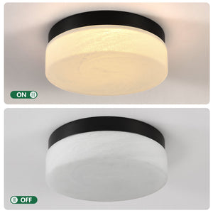 English Elm 12 Inch Led Ceiling Light - Modern 24W Flush Mount Fixture For Bright, Energy-Efficient Home Illumination W2312P375012