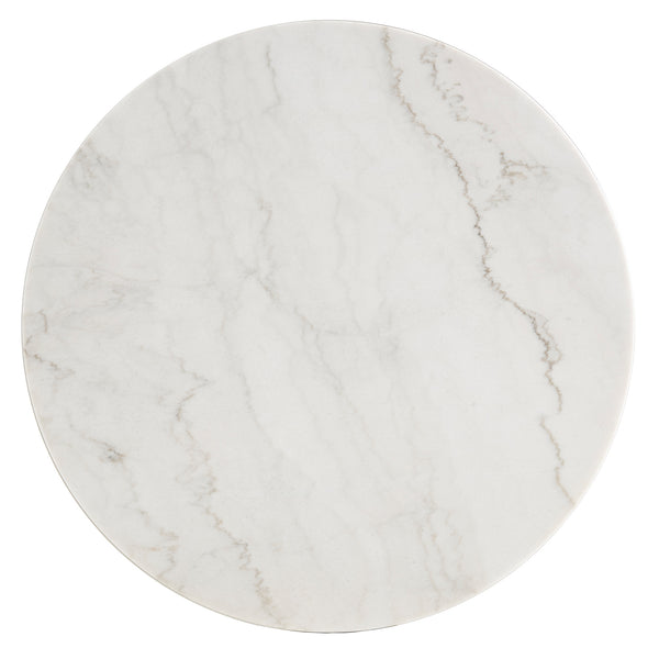 Homelegance By Top-Line Organa Champagne Silver Finish Marble Top Table Champagne Silver Marble