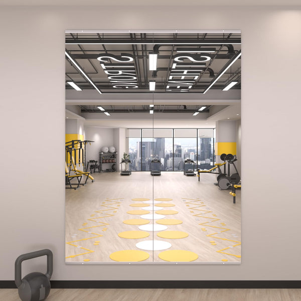 English Elm 63x24 Inch Tempered Glass 2-Pack Home Gym Mirror, Shatterproof Framed Silver, HD Reflection for Fitness T3757P347060