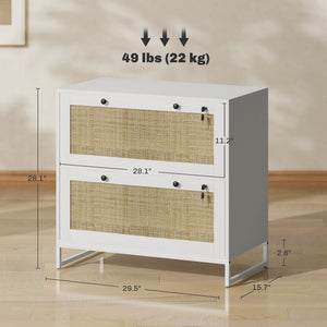 English Elm 2 Drawer Rattan Panel Filing Cabinet Lockable Home Office Organizer with Hanging Bar T3971P411967