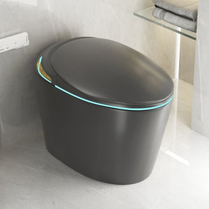 English Elm Unique Smart One Piece Toilet with Bidet Foot Sensor Auto Lid Warm Dryer Night Light W3133P384914