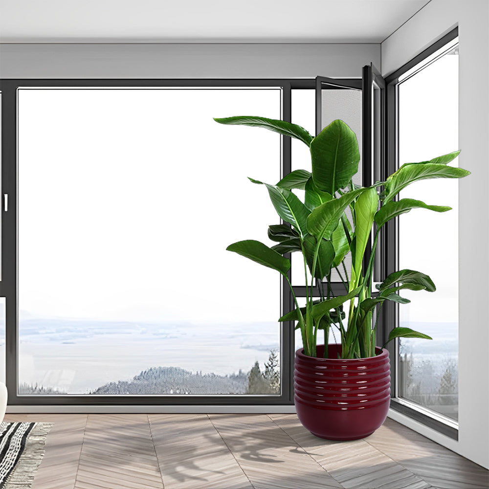 English Elm 3 Elegant Ceramic Flowerpots Set - Handcrafted Modern Planters For Patio, Garden & Windowsills W3273P321467