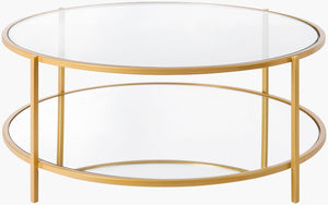 Livabliss Alecsa Square Glass Top Coffee Table with Mirror Accents and Metal Frame for Living Rooms EAA-014