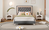 English Elm Twin Size Upholstered Bed Frame With Led Lights,Modern Velvet Platform Bed With Tufted Headboard,Grey