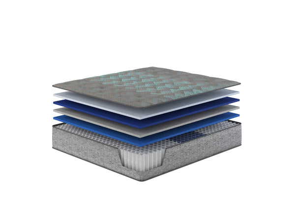 English Elm Restonic Plush Hybrid Mattress Twin Xl Pocketed Coils Cooling Foam Lumbar Support B123P299677