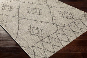 Livabliss Eagean Flatweave Polypropylene Area Rug Bohemian Global Pattern for Indoor Outdoor Spaces Taupe, Charcoal 7'10" x 10'2" EAG2328-710103
