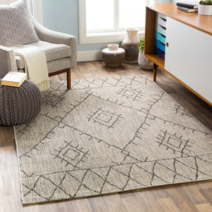 Livabliss Eagean Flatweave Polypropylene Area Rug Bohemian Global Pattern for Indoor Outdoor Spaces Taupe, Charcoal 7'10" x 10'2" EAG2328-710103