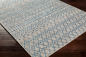 Livabliss Eagean Moroccan Geometric Polypropylene Accent Rug for Entryway Patio or Bedroom EAG2332-23