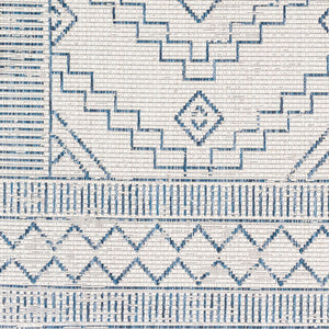 Livabliss Eagean Flatweave Polypropylene Area Rug Global Pattern Outdoor Safe High Traffic Floor EAG2343-23