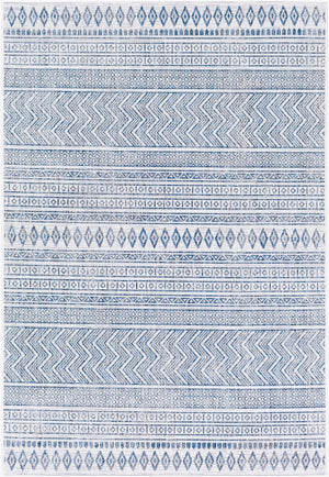 Livabliss Eagean Flatweave Polypropylene Area Rug Bohemian Global Pattern Indoor Outdoor Use Light Blue, Blu 8'10" x 12' EAG2344-81012