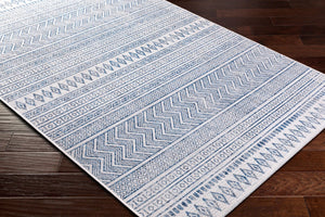 Livabliss Eagean Flatweave Polypropylene Area Rug Bohemian Global Pattern Indoor Outdoor Use Light Blue, Blu 8'10" x 12' EAG2344-81012