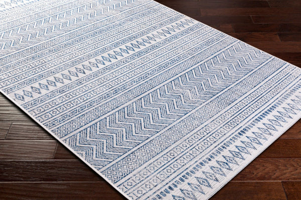 Livabliss Eagean Flatweave Polypropylene Area Rug Bohemian Global Pattern Indoor Outdoor Use Light Blue, Blu 8'10" x 12' EAG2344-81012
