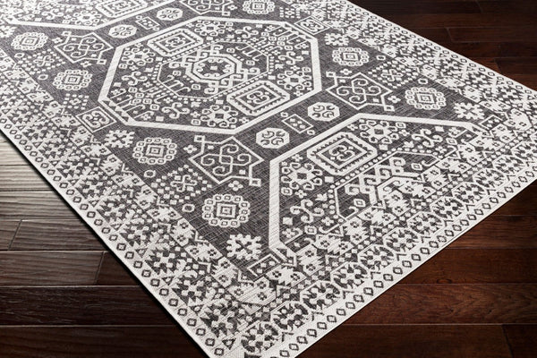 Livabliss Eagean Bohemian Global Pattern Polypropylene Low Pile Indoor Outdoor Area Rug Black, White 6'7" x 6'7" EAG2359-67RD