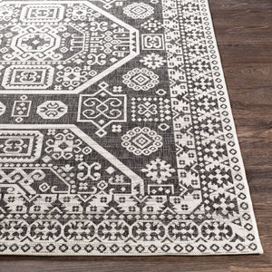 Livabliss Eagean Bohemian Global Pattern Polypropylene Low Pile Indoor Outdoor Area Rug Black, White 6'7" x 6'7" EAG2359-67RD