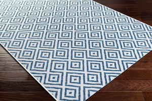 Livabliss Eagean Turkish Medallion Polypropylene Rug for Entryways and High Traffic Spaces EAG2367-2211