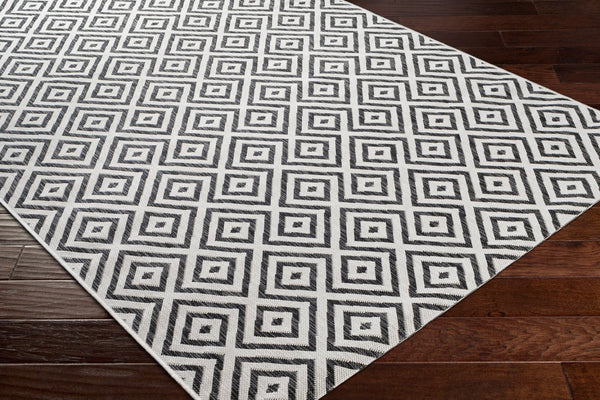 Livabliss Eagean Turkish Patterned Polypropylene Rug for Entryways and Outdoor Thresholds EAG2369-2211
