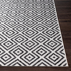 Livabliss Eagean Turkish Patterned Polypropylene Rug for Entryways and Outdoor Thresholds EAG2369-2211