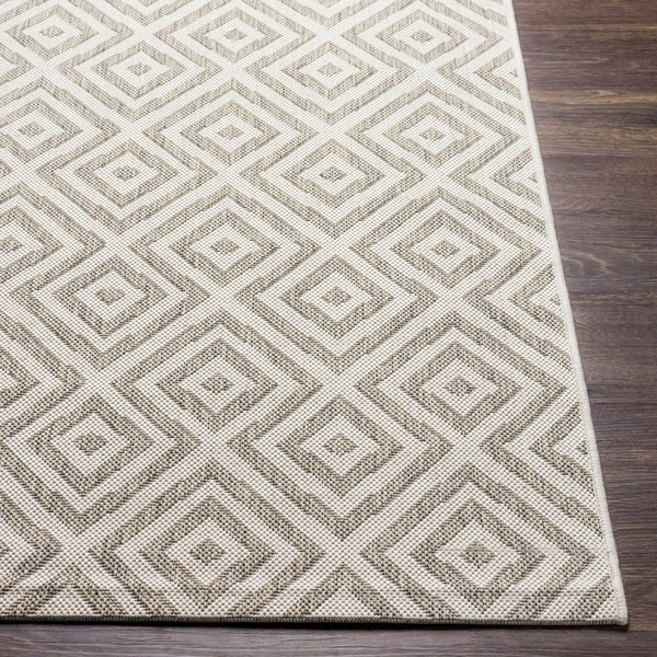 Livabliss Eagean Outdoor Polypropylene Rug Turkish Medallion Pattern for Patio or Entryway EAG2370-2211