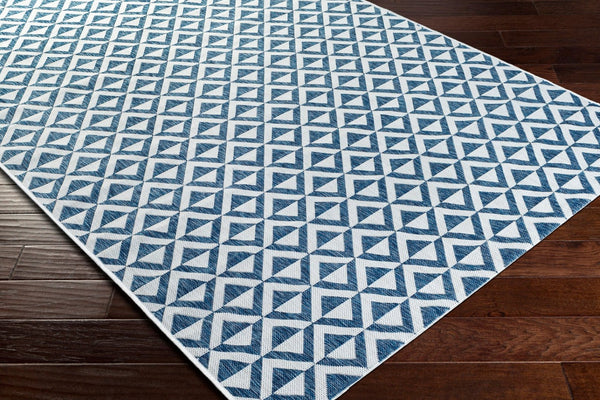 Livabliss Eagean Flatweave Polypropylene Area Rug Turkish Woven Graphic Indoor Outdoor Living EAG2372-710102