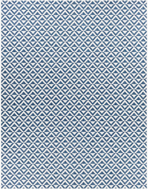 Livabliss Eagean Flatweave Polypropylene Area Rug Turkish Woven Graphic Indoor Outdoor Living EAG2372-710102