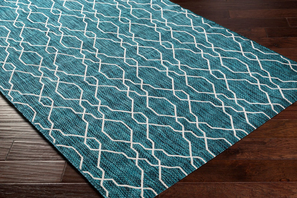 Livabliss Eagean Flatweave Polypropylene Area Rug Turkish Traditional Pattern for Entryway Kitchen EAG2382-2211