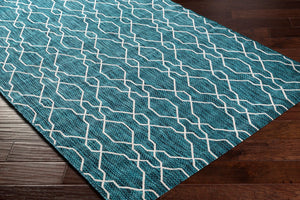 Livabliss Eagean Flatweave Polypropylene Area Rug Turkish Traditional Pattern for Entryway Kitchen EAG2382-2211