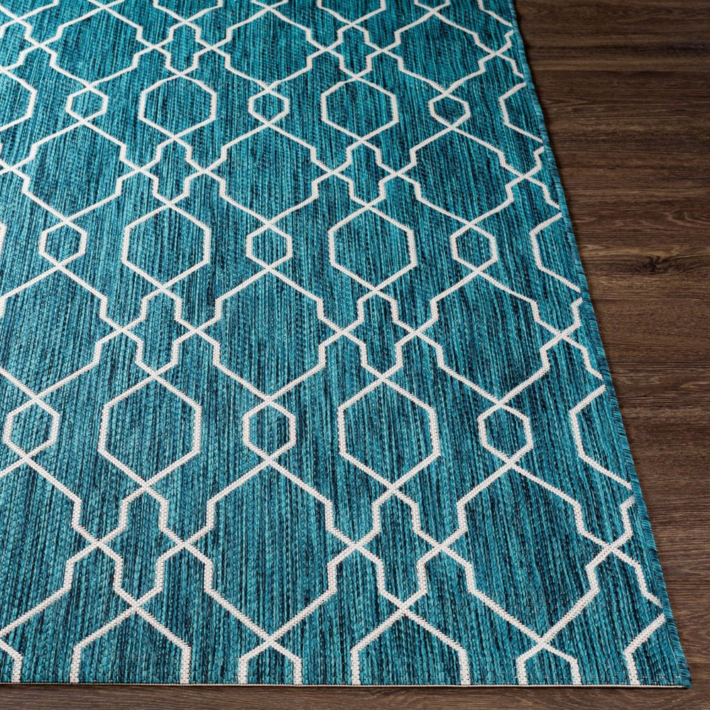 Livabliss Eagean Flatweave Polypropylene Area Rug Turkish Traditional Pattern for Entryway Kitchen EAG2382-2211