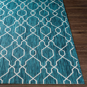 Livabliss Eagean Flatweave Polypropylene Area Rug Turkish Traditional Pattern for Entryway Kitchen EAG2382-2211