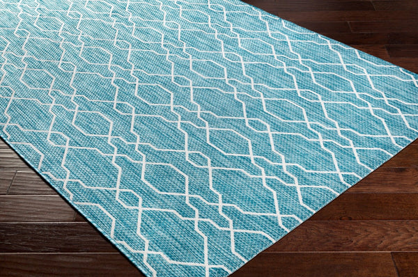 Livabliss Eagean Traditional Polypropylene Area Rug Machine Woven for Entryways and Patios EAG2383-2211