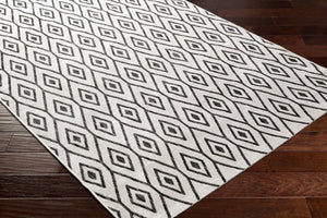 Livabliss Eagean Traditional Flatweave Polypropylene Rug for Entryways and High Traffic Spaces EAG2393-2211