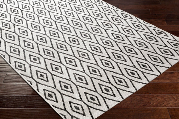 Livabliss Eagean Traditional Flatweave Polypropylene Rug for Entryways and High Traffic Spaces EAG2393-2211