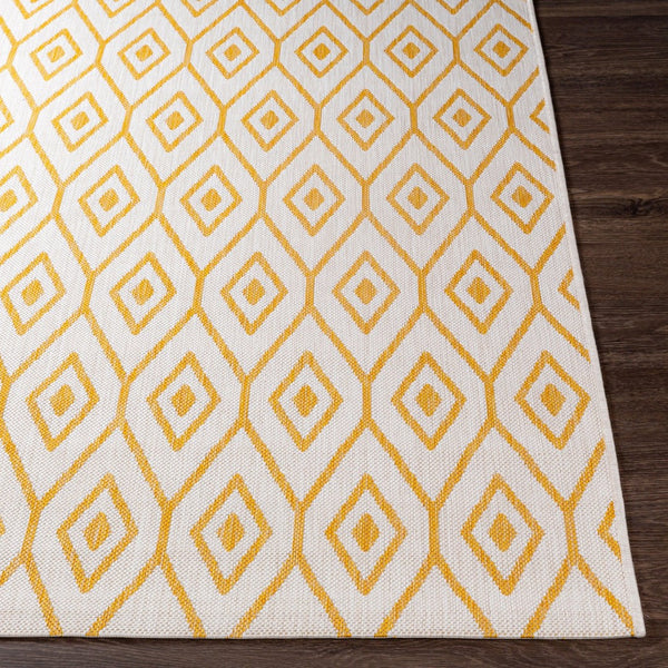 Livabliss Eagean Traditional Flatweave Polypropylene Rug for Entryways and High Traffic Areas EAG2395-2211