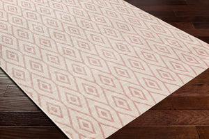 Livabliss Eagean Flatweave Polypropylene Area Rug Turkey Woven Geometric Indoor Outdoor Accent EAG2396-2211