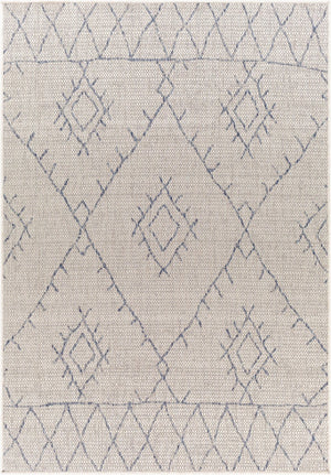 Livabliss Eagean Flatweave Polypropylene Runner Rug Global Pattern for Hallways and Entryways Oatmeal, Gray 2'7" x 10' EAG2401-2710