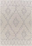 Eagean EAG-2401 7'10" x 7'10" Machine Woven Rug EAG2401-710SQ Livabliss Surya