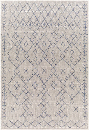 Livabliss Eagean Bohemian Geometric Flatweave Polypropylene Rug for Indoor Outdoor Living Spaces Oatmeal, Gray 5'3" x 7'7" EAG2403-5377